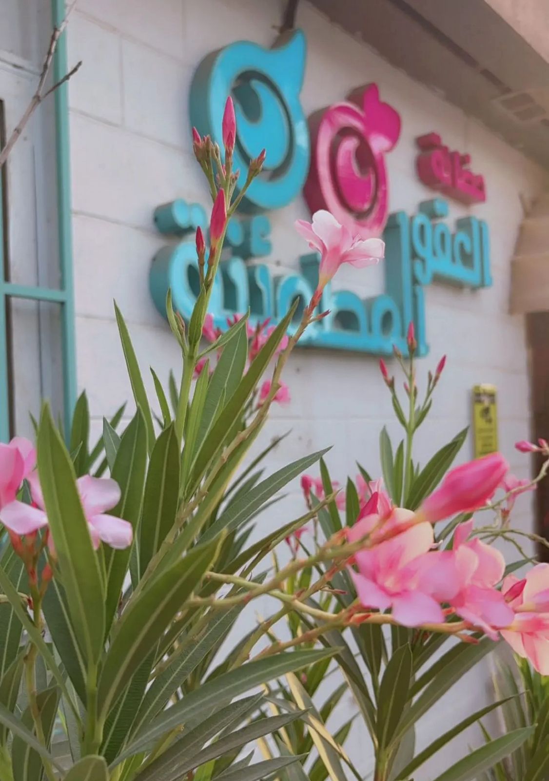 حضانة العقول المطمئنة