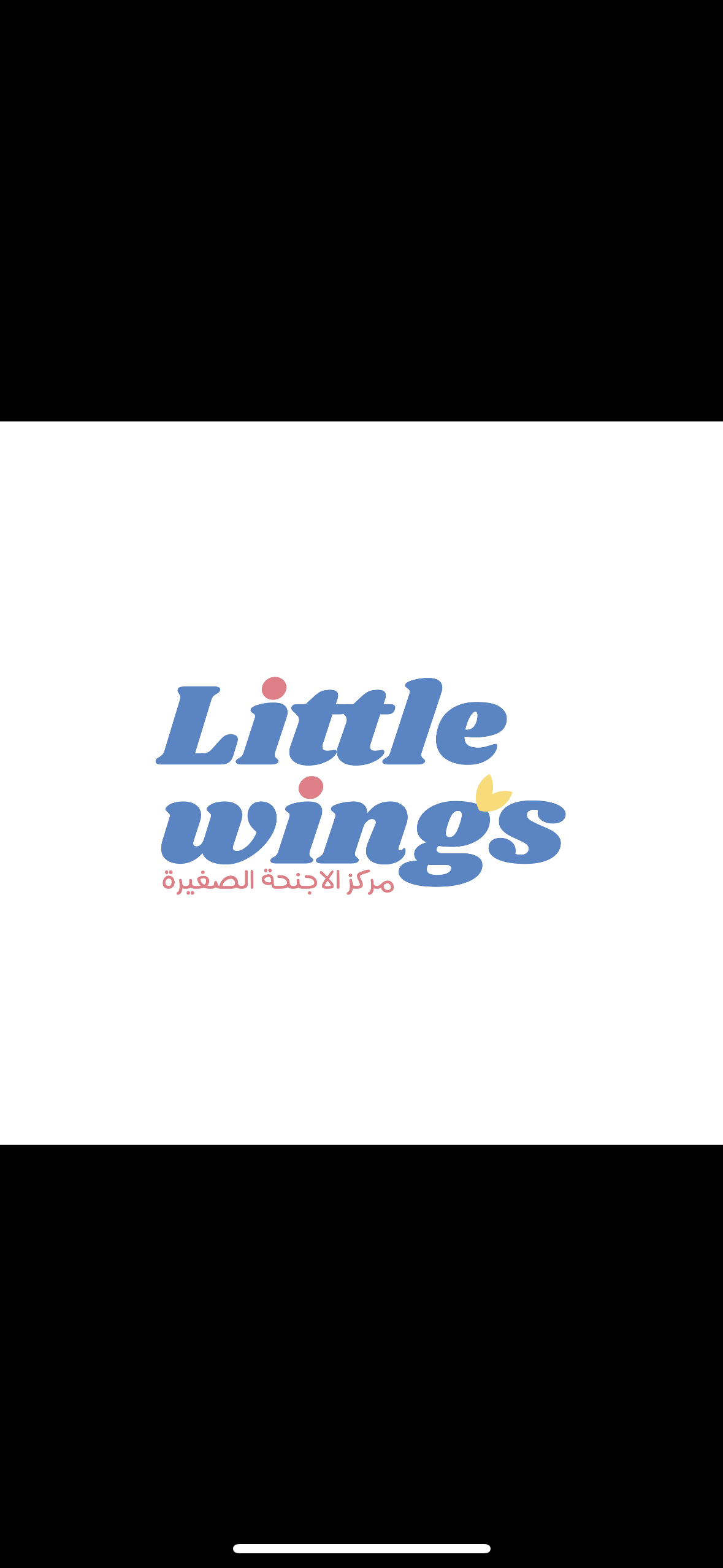 الاجنحة الصغيرة